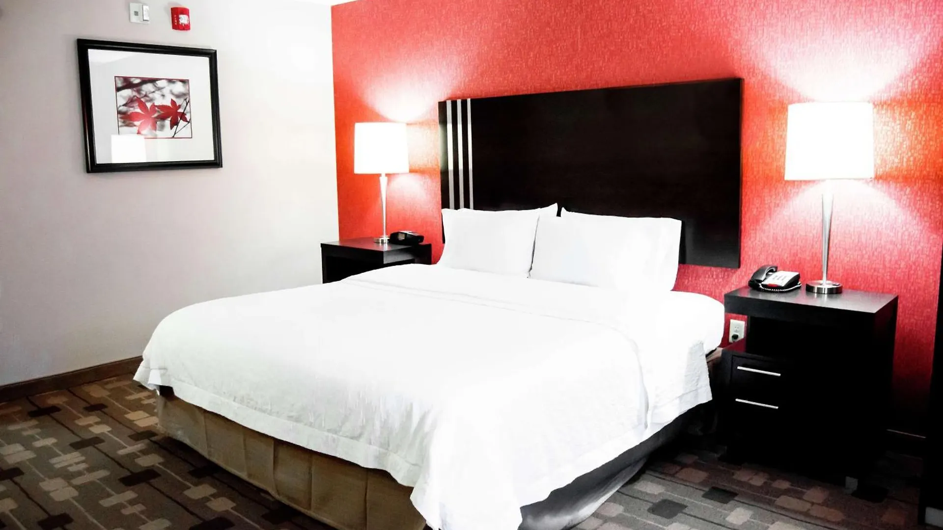 Hampton Inn & Suites Richmond Glenside Dumbarton 3*,  United States